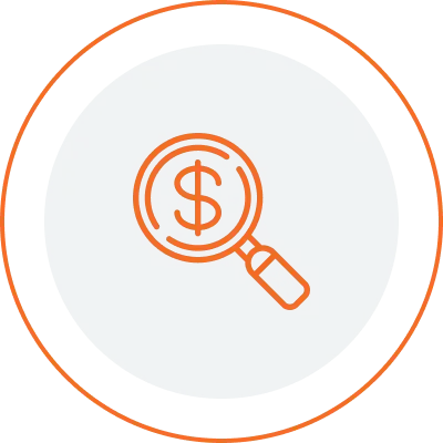 Dollar with magnifier icon